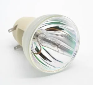 bare-projector-bulb image